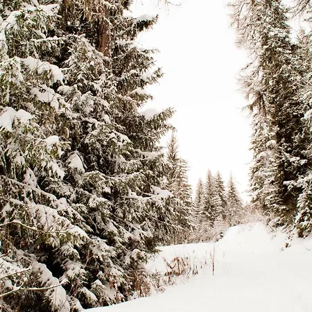 Apartamento Your Near The Lift