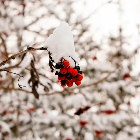 Your Near The Lift *