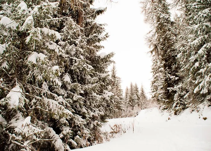 Apartament Your Near The Lift