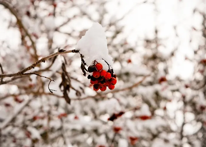 Your Near The Lift *